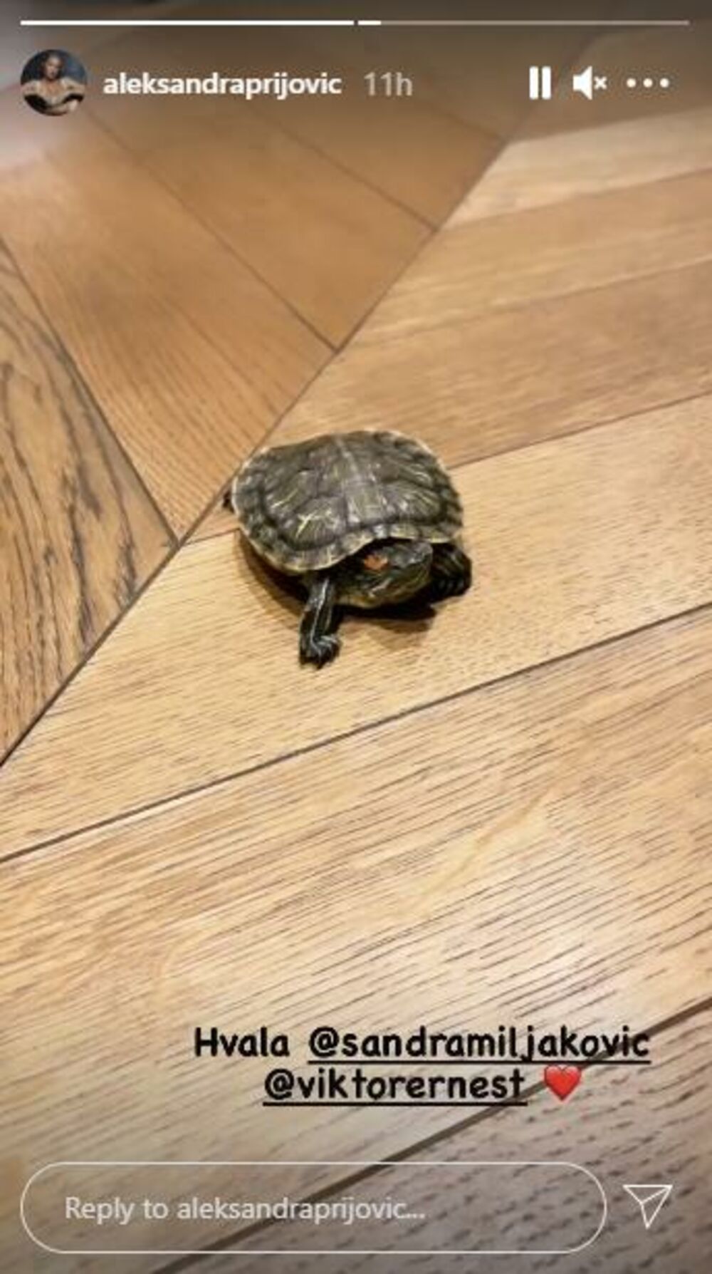 zabava, estrada, aleksandra prijović