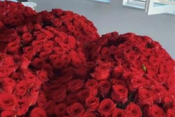 DA LI ZNATE KOJE CVEĆE SE POKLANJA ZA DAN ZALJUBLJENIH? Ono ima JASNU SIMBOLIKU, sa njim nikako nećete OMANUTI