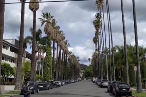 AMERIKANCI VERUJU DA DINOSAURUSI I DALJE POSTOJE! Šok anketa pokazala veliko neznanje stanovnika SAD