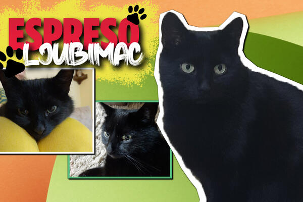 ZOVEM SE MACA KETICA I DONOSIM SREĆU! Posebne talente nemam, jer sam cela posebna