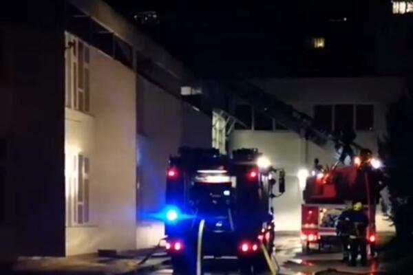 VATROGASCI LOKALIZOVALI POŽAR U PULI: Sumnja se da je bačena baklja!