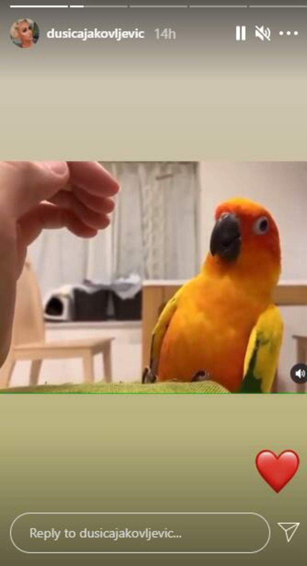 Dušica Jakovljević