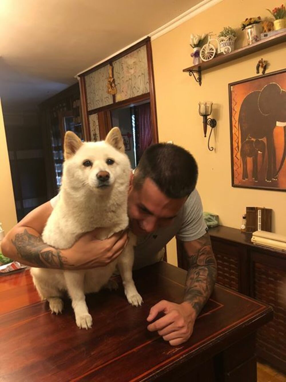 zabava, zadruga, matija matijević