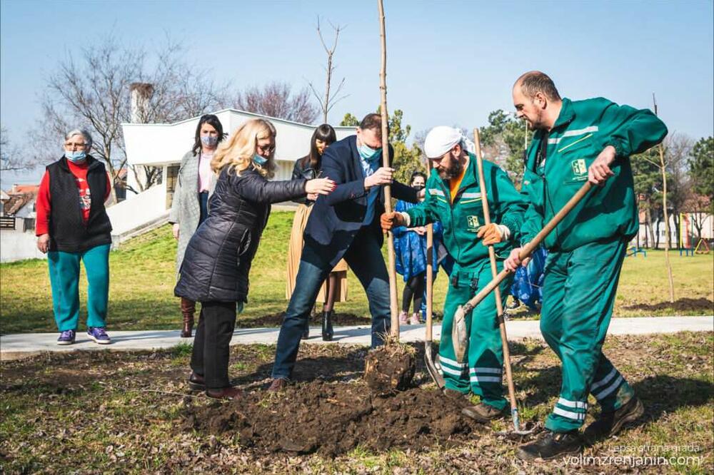 ZASADI DRVO! VOJVODINA: Gradimo zeleni štit!