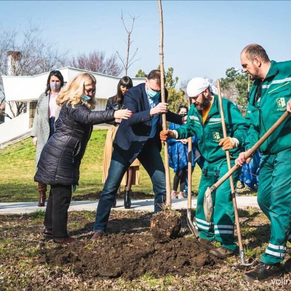 ZASADI DRVO! VOJVODINA: Gradimo zeleni štit!