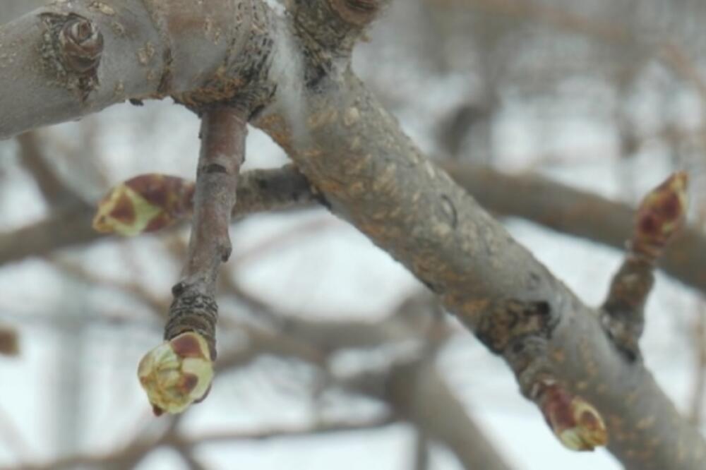 OD SLEDEĆE NEDELJE ZAHLAĐENJE! Meterolog ČUBRILO saopštio celokupnu PROGNOZU, najavio i SNEG!