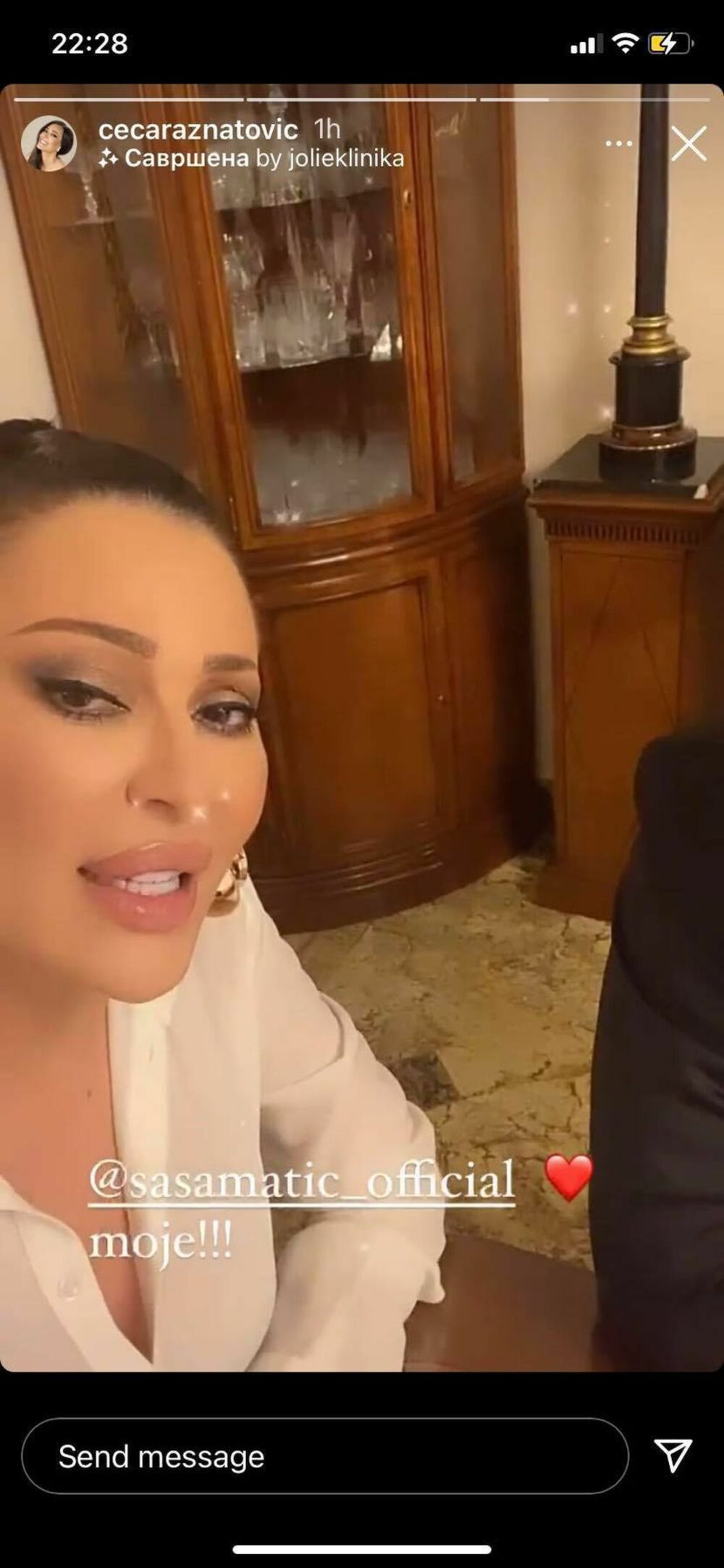 zabava, estrada, Ceca Ražnatović