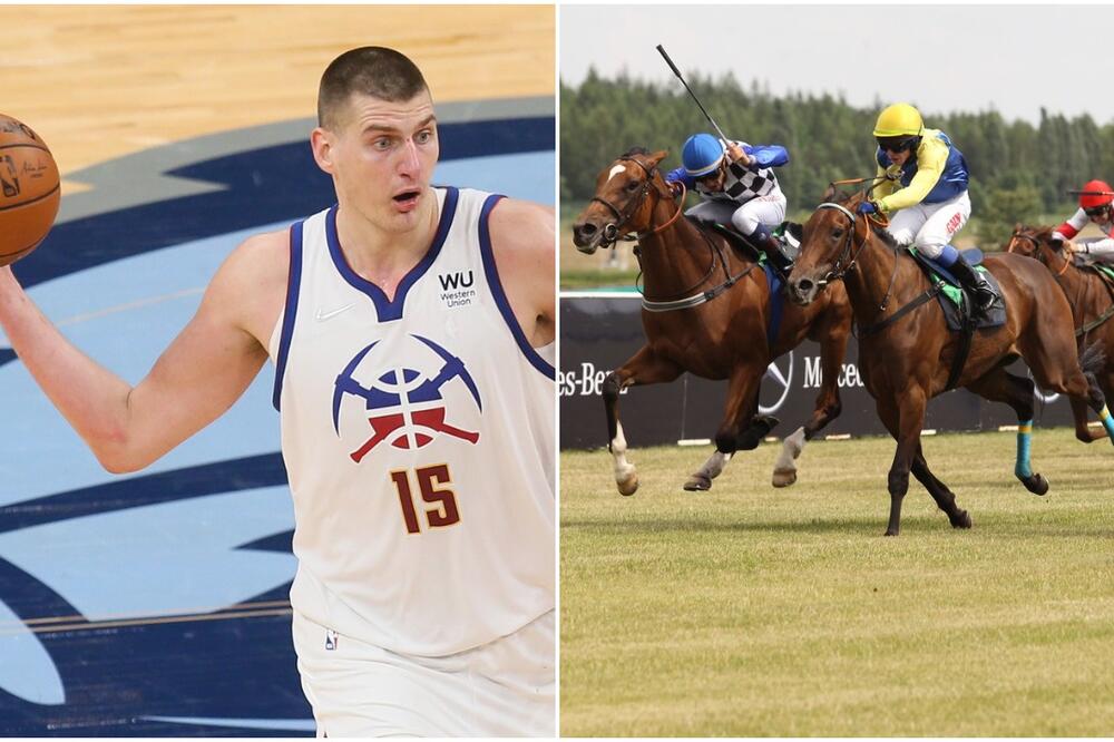 I JOKIĆ KONJA ZA TRKU IMA: Dominira kao gazda - srpski pastuv italijanskog porekla, gazi sve pred sobom!