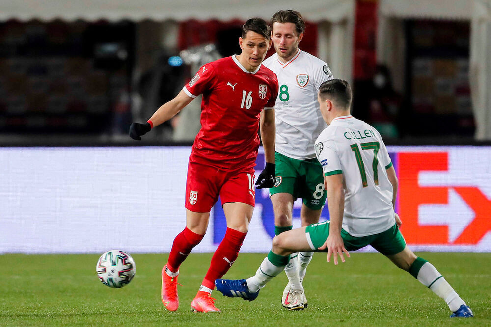 Srbija - Irska, Saša Lukić