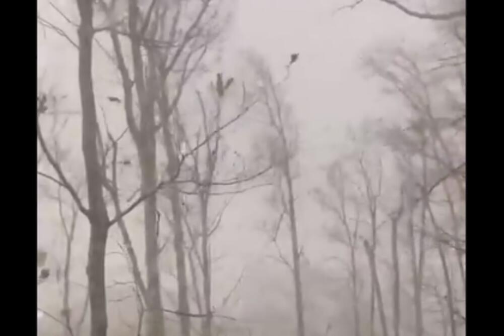 NIZ SMRTONOSNIH TORNADA POGODIO ALABAMU: Poginulo najmanje 5 osoba, među njima i tročlana porodica! (VIDEO)