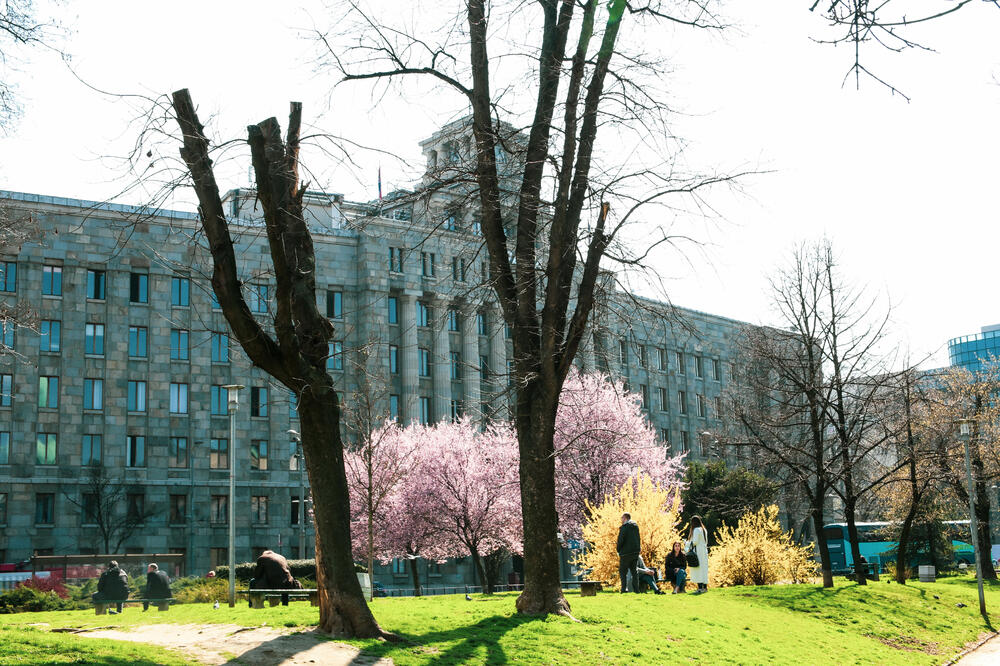 UŽIVAJTE U SUNČANIM DANIMA JOŠ MALO! Uskoro će nam modni detalj ponovo biti KIŠOBRAN