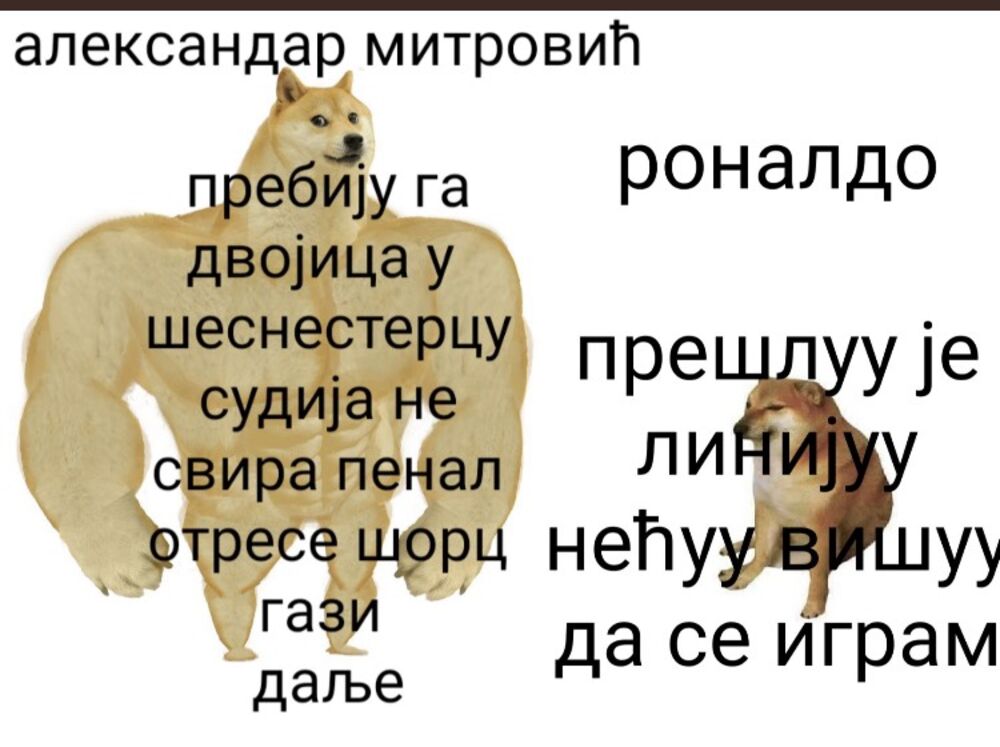 Aleksandar Mitrović