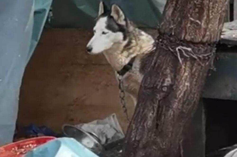 ČLAN LEVIJATANA UPAO U BUNAR PRILIKOM SPASAVANJA PSA: Hitna pomoć odmah dojurila