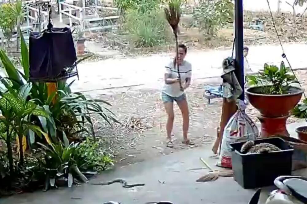 ŽENI NIJE BILO DOBRO KAD JE VIDELA KOBRU U ŽBUNJU: Onda je uzela METLU U RUKE, pa KOBRI NIJE BILO DOBRO! (VIDEO)