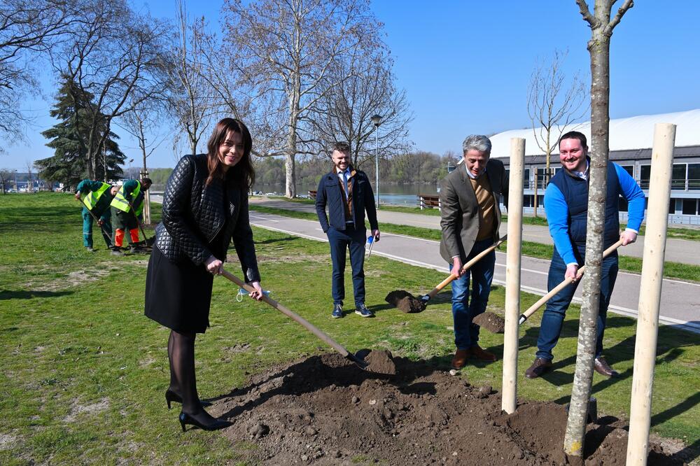 VUJOVIĆ: Ozelenjavanje gradskih zona važno za kvalitet vazduha