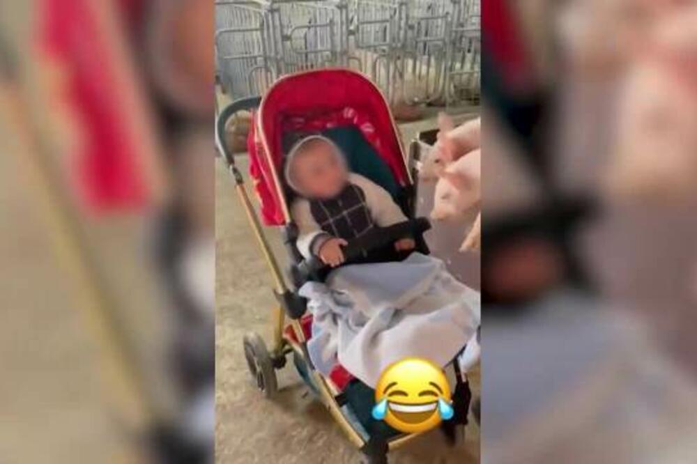 MALI ŽELJKO SE NALJUTIO NA CECU JER GA JE ODVELA U ŠTALU: Preslatki snimak je postao HIT, ne dopadaju mu se SVINJE!