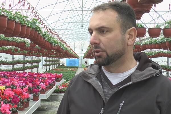 GRAD IM JE 3 GODINE DESETKOVAO KOMPLETAN ROD POVRĆA, A ONDA IM JE PREKIPELO: Petrovići sada imaju NOVI BIZNIS(FOTO)