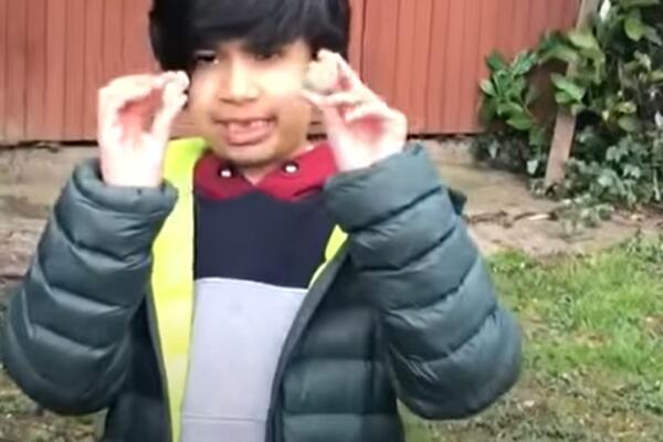 NEVEROVATO! DEČAK (6) PRONAŠAO FOSIL STAR 500 MILIONA GODINA U BAŠTI: Kopao sam u potrazi za crvima (VIDEO)