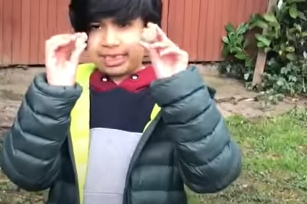 NEVEROVATO! DEČAK (6) PRONAŠAO FOSIL STAR 500 MILIONA GODINA U BAŠTI: Kopao sam u potrazi za crvima (VIDEO)