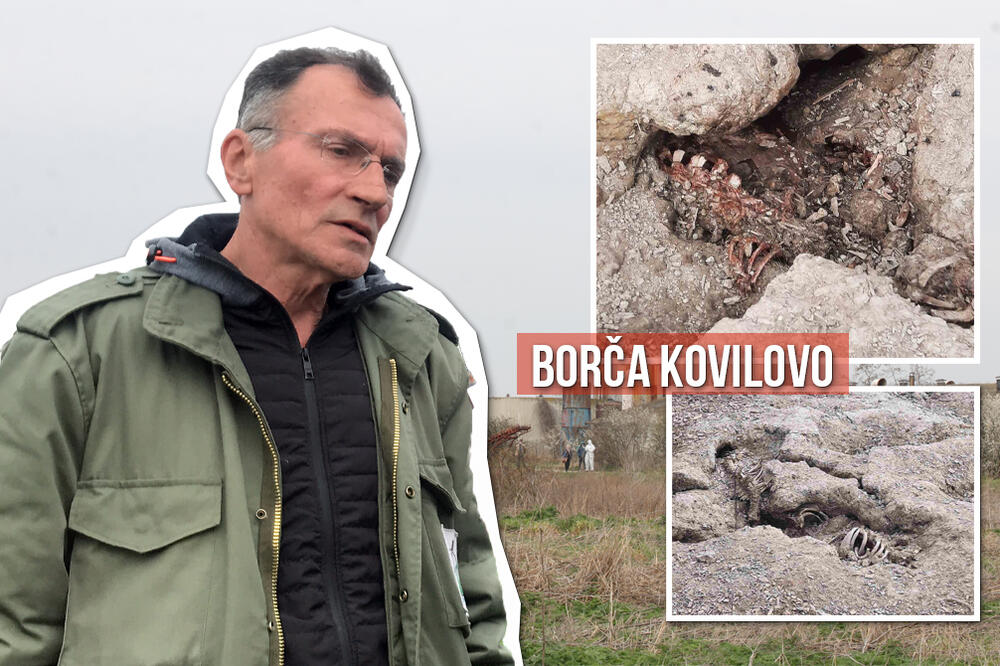 SKANDAL ZBOG UGINULIH SVINJA POTRESA SRBIJU DANIMA: Ekipa Espresa bila je na LICU MESTA da sazna ISTINU! (VIDEO)