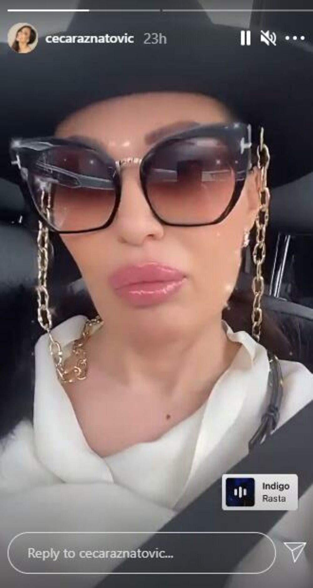 zabava, estrada, Ceca Ražnatović