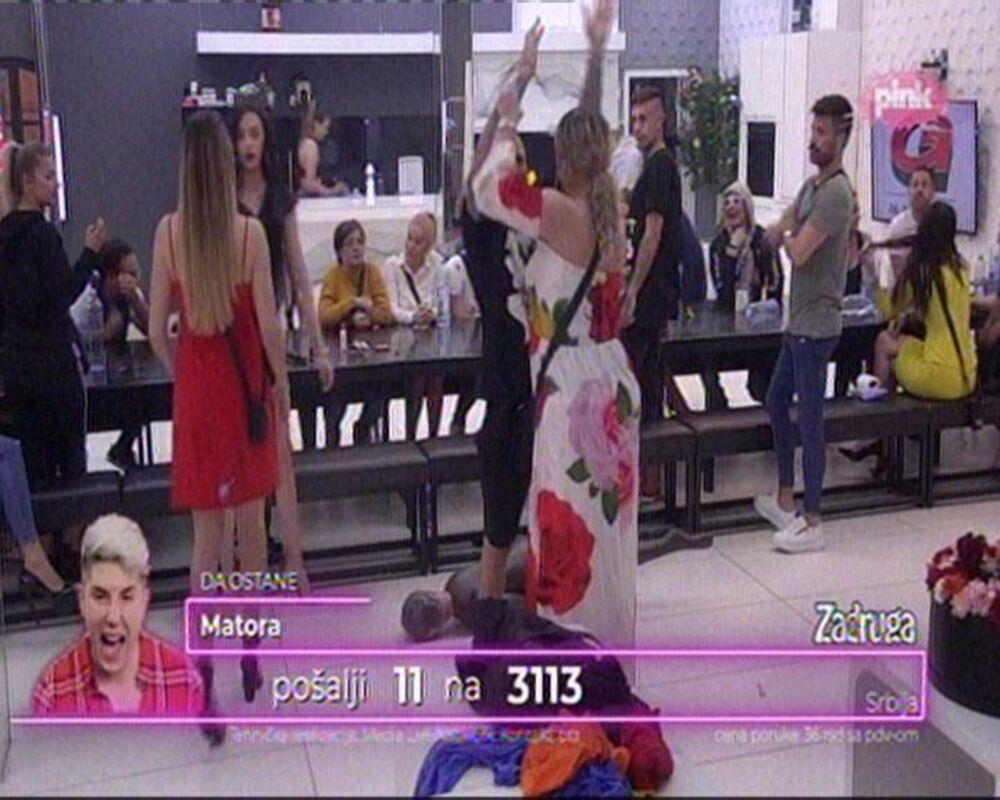 zabava, zadruga, tara simov, miljana kulić