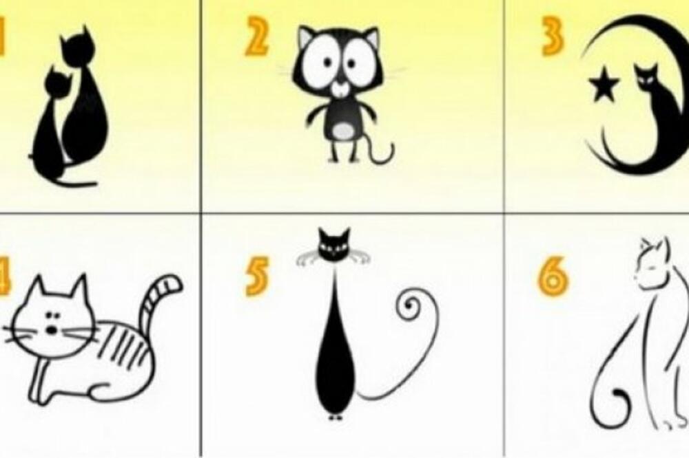 IZABERITE MAČKU SA SLIKE I OTKRIĆETE NEVEROVATNE STVARI O SEBI: Bićete veoma IZNENAĐENI! (FOTO)