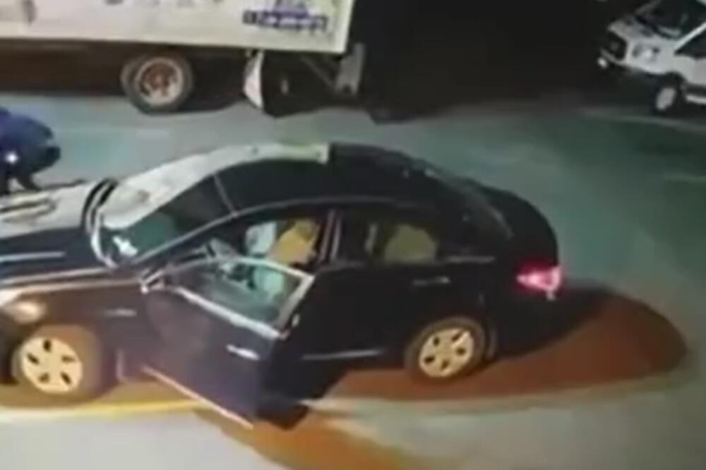 SNIMLJEN NAJLUKAVIJI LOPOV NA SVETU: Kako se samo setio ovoga? (VIDEO)