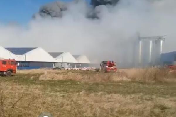 SELJAK OSVAJAČ: 'Ladno je čovek proširio teritoriju svoje države