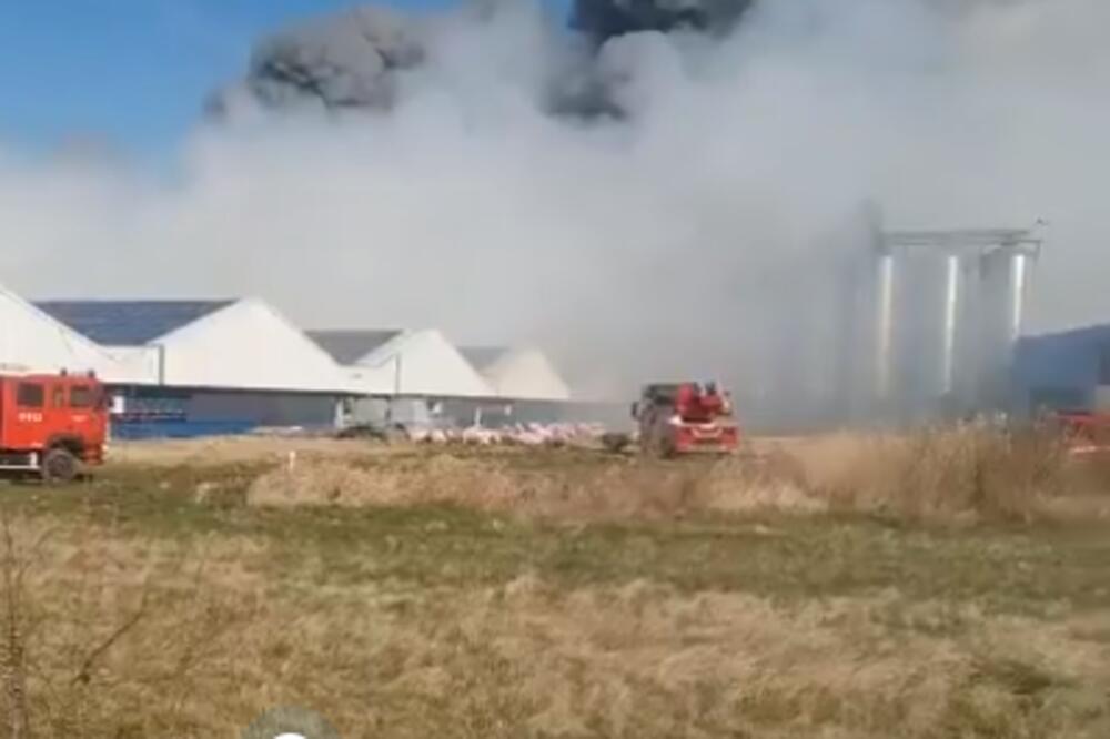 SELJAK OSVAJAČ: 'Ladno je čovek proširio teritoriju svoje države