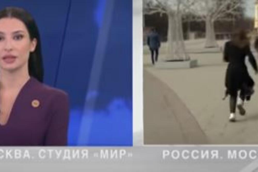 PAS NAPAO VODITELJKU NADEŽDU: Sve se dešavalo UŽIVO U PROGRAMU, krenuli da ga jure, prenos NIJE PREKINUT (VIDEO)