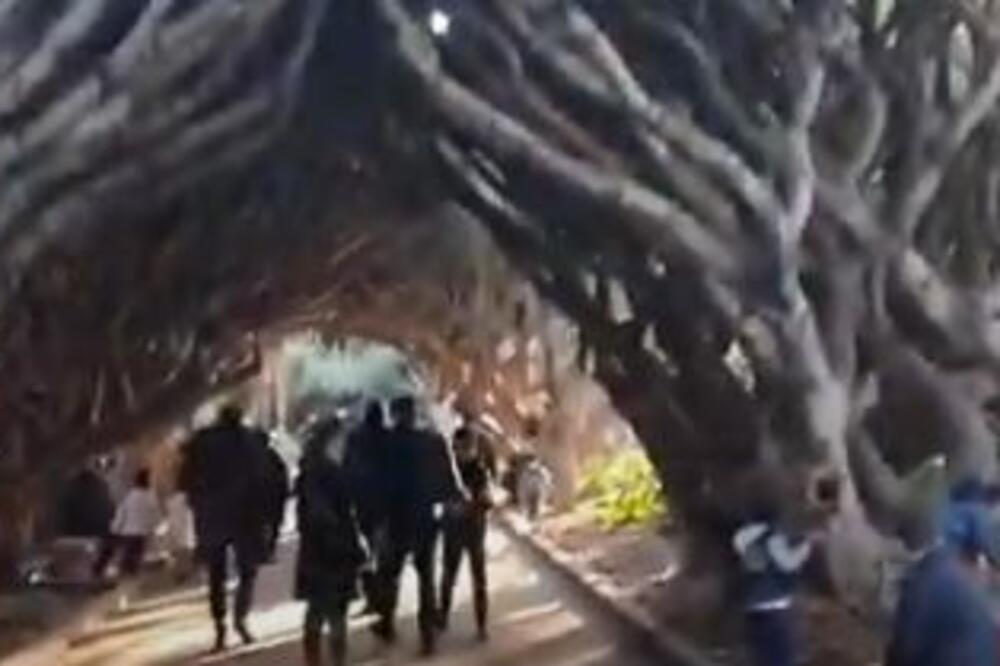 DESETINE HILJADA ALŽIRACA NA ULICAMA: Krenuli su ka zgradi POŠTE!