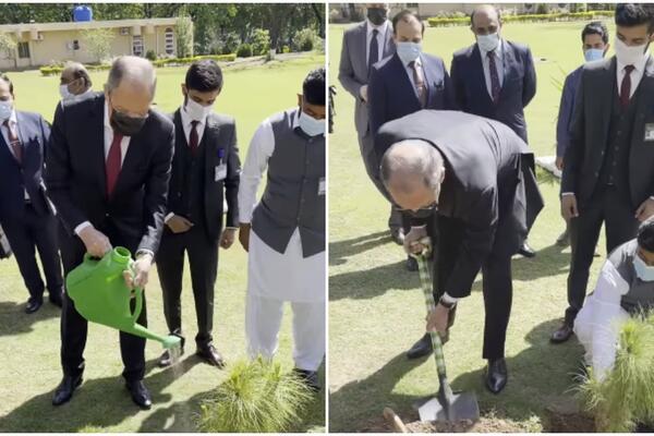 LAVROV U PAKISTANU ZASADIO DRVO PRIJATELJSTVA: Himalajski kedar se smatra SIMBOLOM MIRA! (VIDEO)