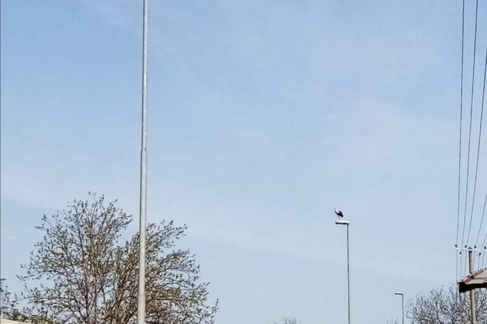 VRATILE NAM SE RODE: Ipak, doček nije bio NIMALO PRIJATAN!