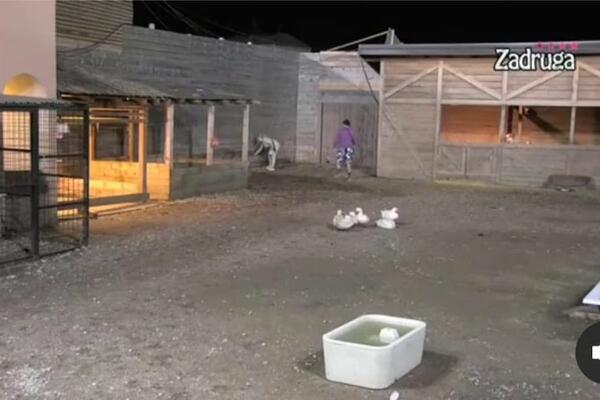 ZAHTEVALA NEŠTO OD PRODUKCIJE: Miljana pokušala da pobegne iz Zadruge!