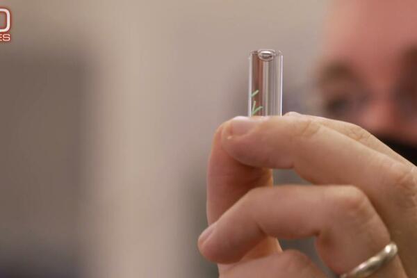 NAUČNICI PENTAGONA OSMISLILI ČIP KOJI DETEKTUJE KORONU I FILTER KOJI JE FILTRIRA IZ KRVI: Filter već u upotrebi!