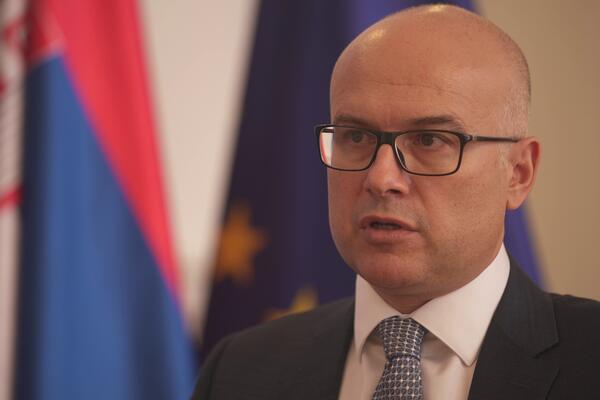 VUČEVIĆ: "Ovde postoji i politička odgovornost, da sam na mestu Nebojše Stefanovića ponudio bih ostavku"