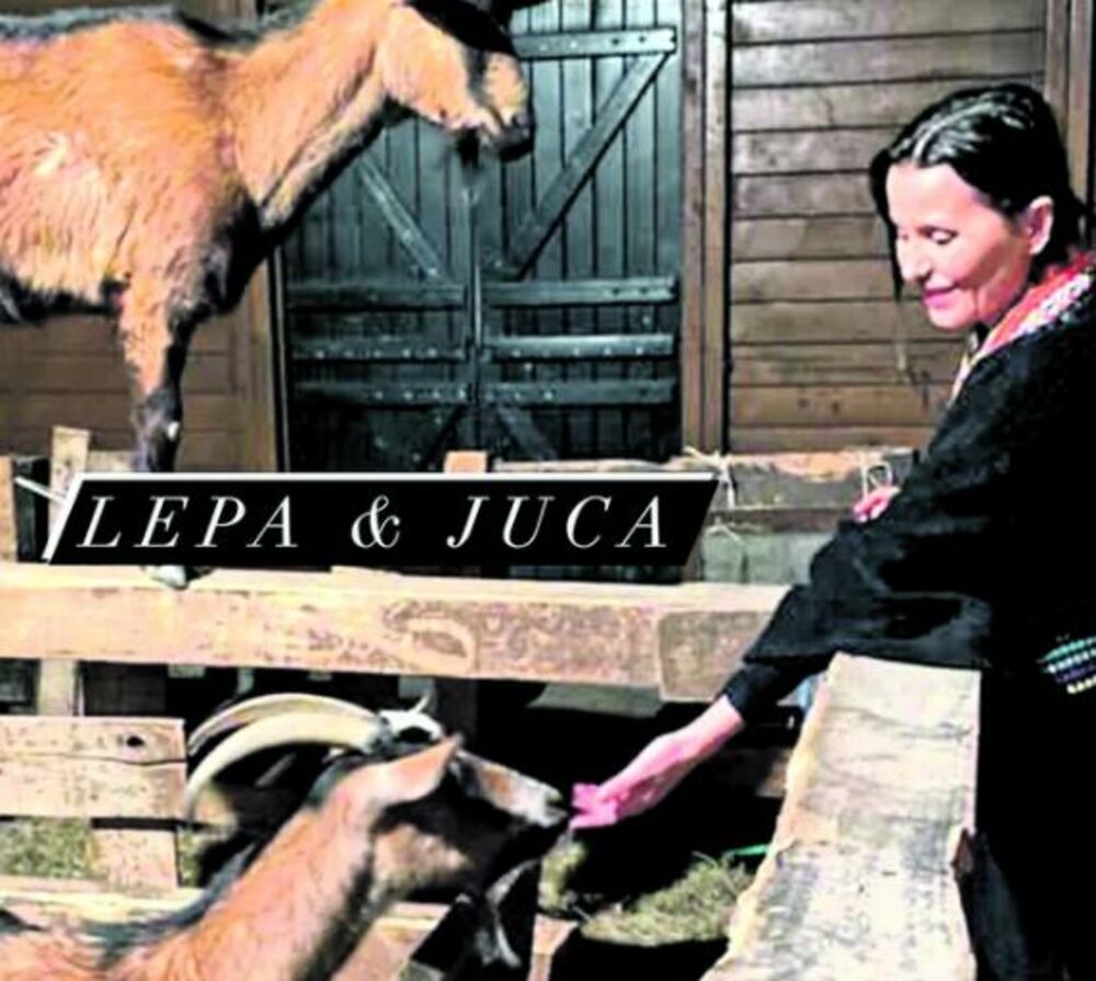 zabava, estrada, Elena Karić