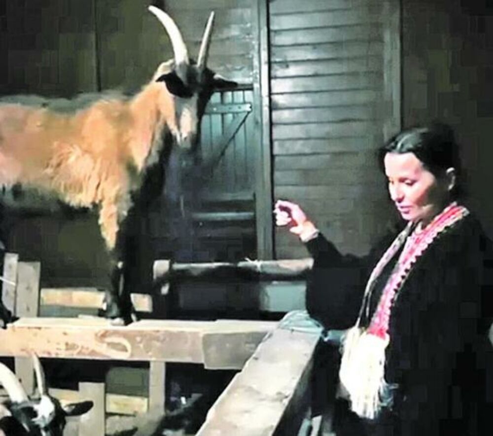 zabava, estrada, Elena Karić