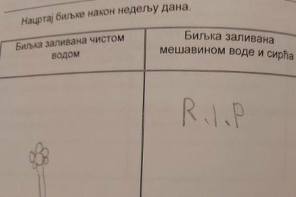 INTERNET SE USIJAO ZBOG ZADATKA OSNOVCA IZ SRBIJE: Odgovor je HIT, učiteljica ga sigurno NIJE OČEKIVALA! (FOTO)