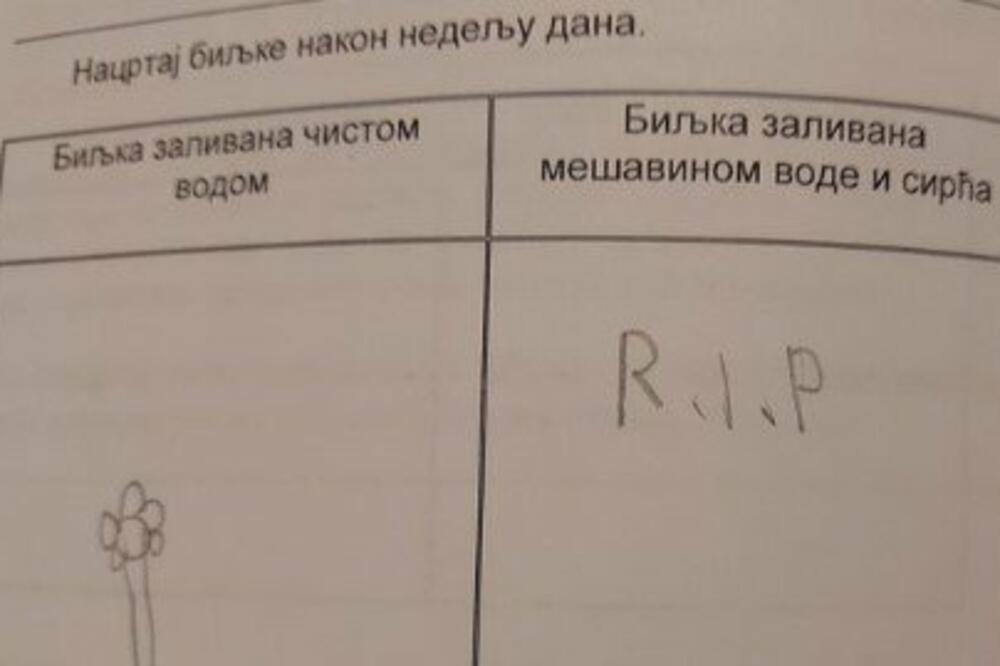 INTERNET SE USIJAO ZBOG ZADATKA OSNOVCA IZ SRBIJE: Odgovor je HIT, učiteljica ga sigurno NIJE OČEKIVALA! (FOTO)