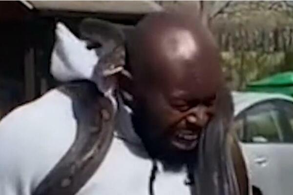 NIJE OČEKIVAO! DŽINOVSKI PITON UGRIZAO FITNES INSTRUKTORA DOK JE VEŽBAO SA NJIM: Vrisnuo od ŠOKA (VIDEO)