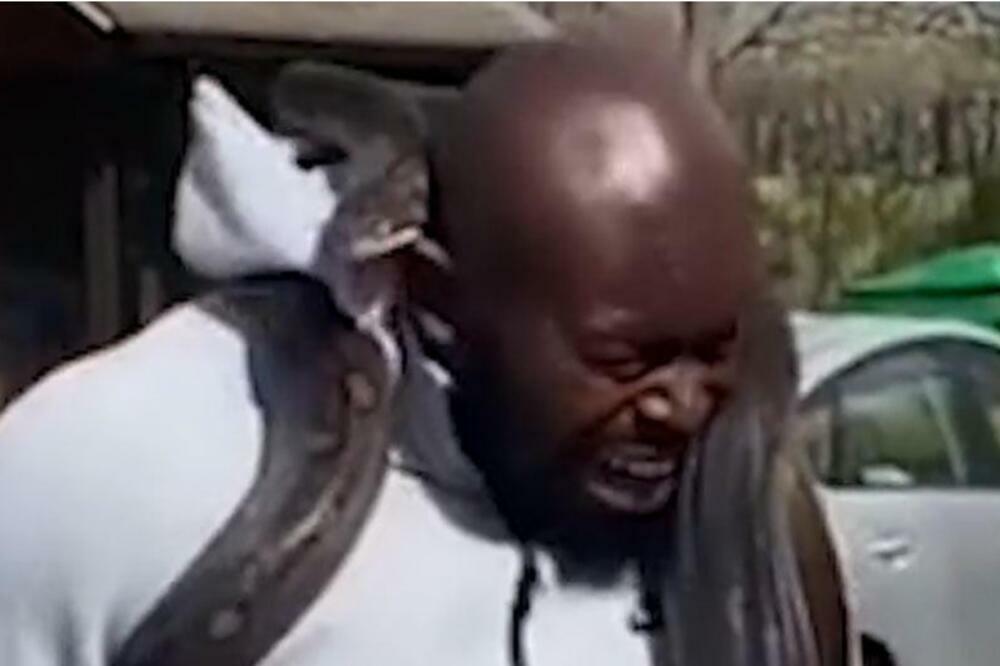 NIJE OČEKIVAO! DŽINOVSKI PITON UGRIZAO FITNES INSTRUKTORA DOK JE VEŽBAO SA NJIM: Vrisnuo od ŠOKA (VIDEO)