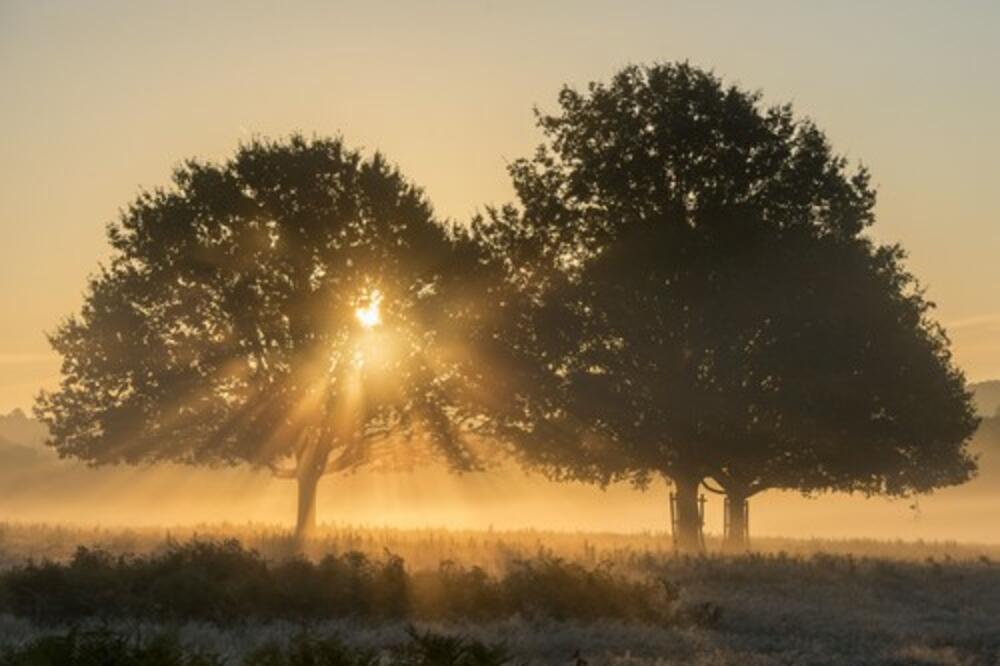NASTAVLJA SE JESEN USRED PROLEĆA: Danas sunčano, ali HLADNO