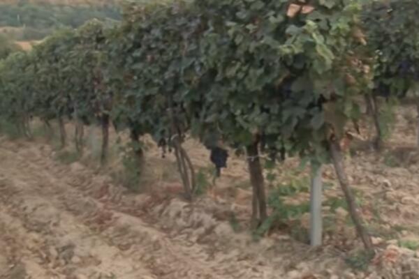 FRANCUSKA PROGLASILA KATASTROFU: Pored kovida moraju da preživljavaju još jedan PAKAO