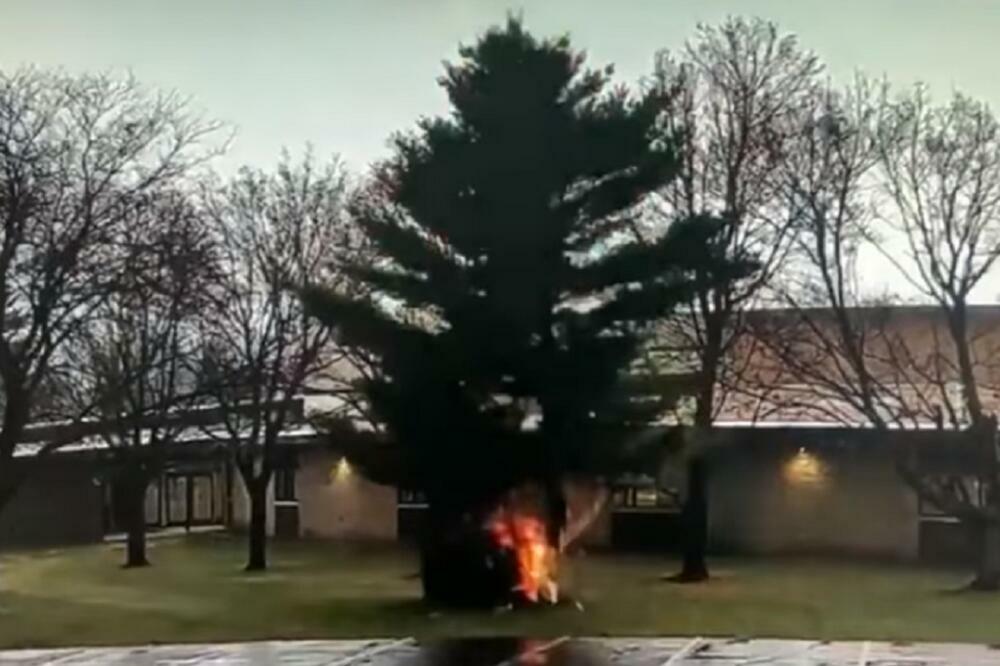 ZABELEŽEN NESVAKIDAŠNJI TRENUTAK: Drvo koje se za trenutak RASPALO od udara GROMA! (VIDEO)