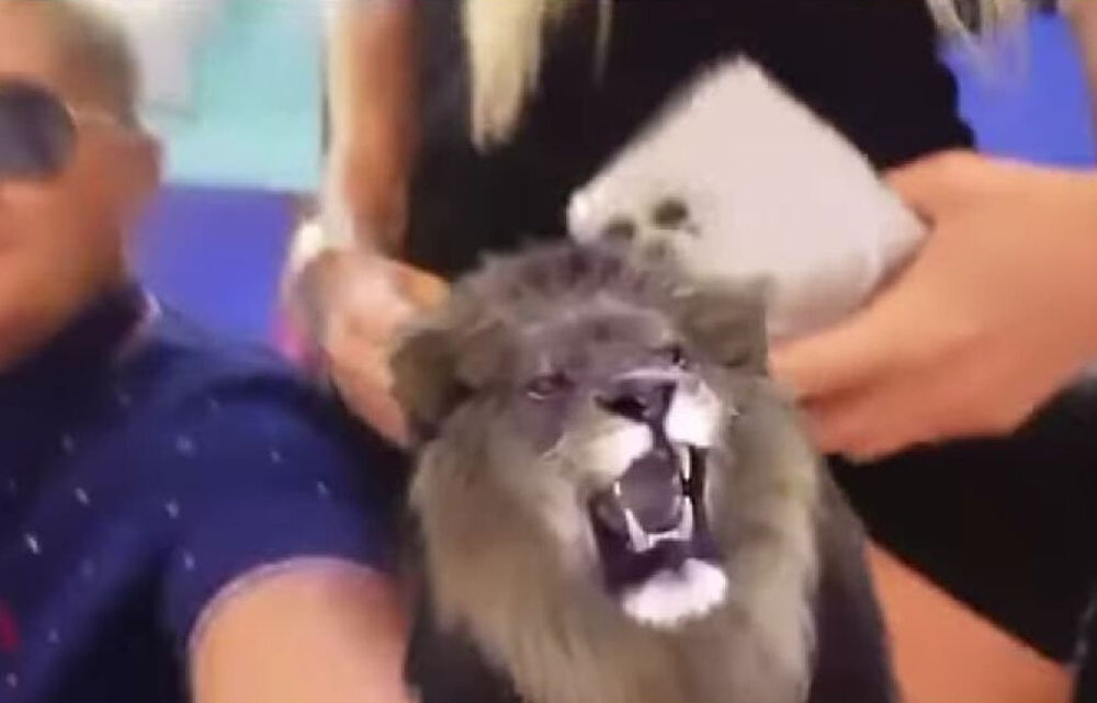 Jelena Karleuša, Marija Šerifović