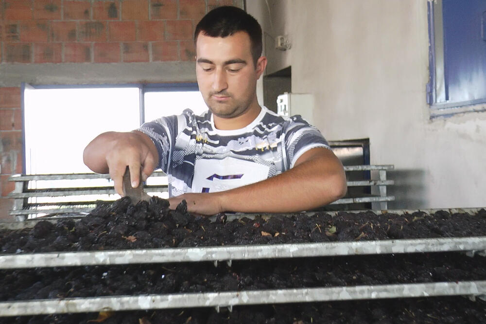 OVAKO SE SUŠE NAJBOLJE SRPSKE ŠLJIVE: Za proizvod Đorđevića posebno zainteresovani RUSI I FRANCUZI (FOTO)