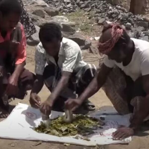 ZAJEDNIČKI APEL HUMANITARNIH ORGANIZACIJA SVETSKIM LIDERIMA: Kriza gladi se mora HITNO REŠITI!