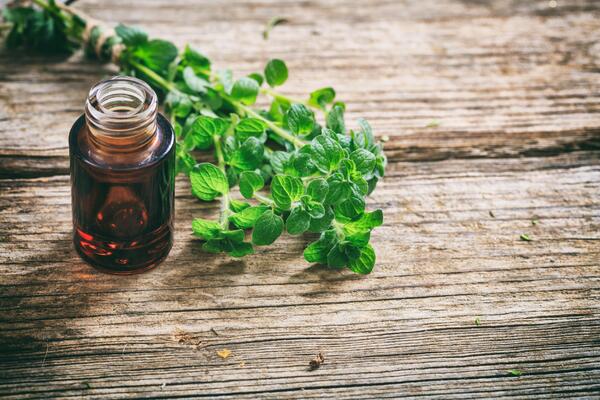 OVU BILJKU SVI IMAMO U KUĆI: Ubija čak 25 vrsta bakterija i gljivica, štiti od raka, jača imuni sistem, čuva vid!